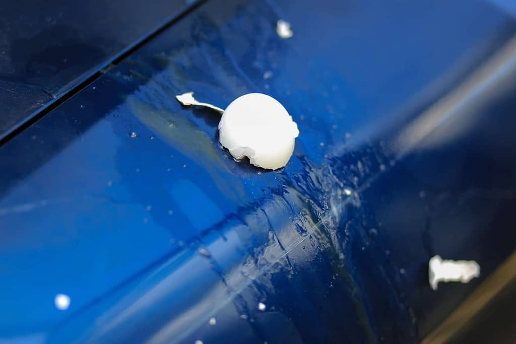 How to Clean Egg off Car