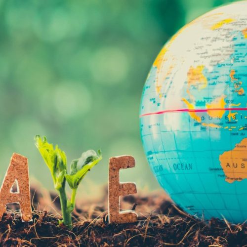 Eco-Friendly Car Tips: Save Gas, Save Money, Save the Planet